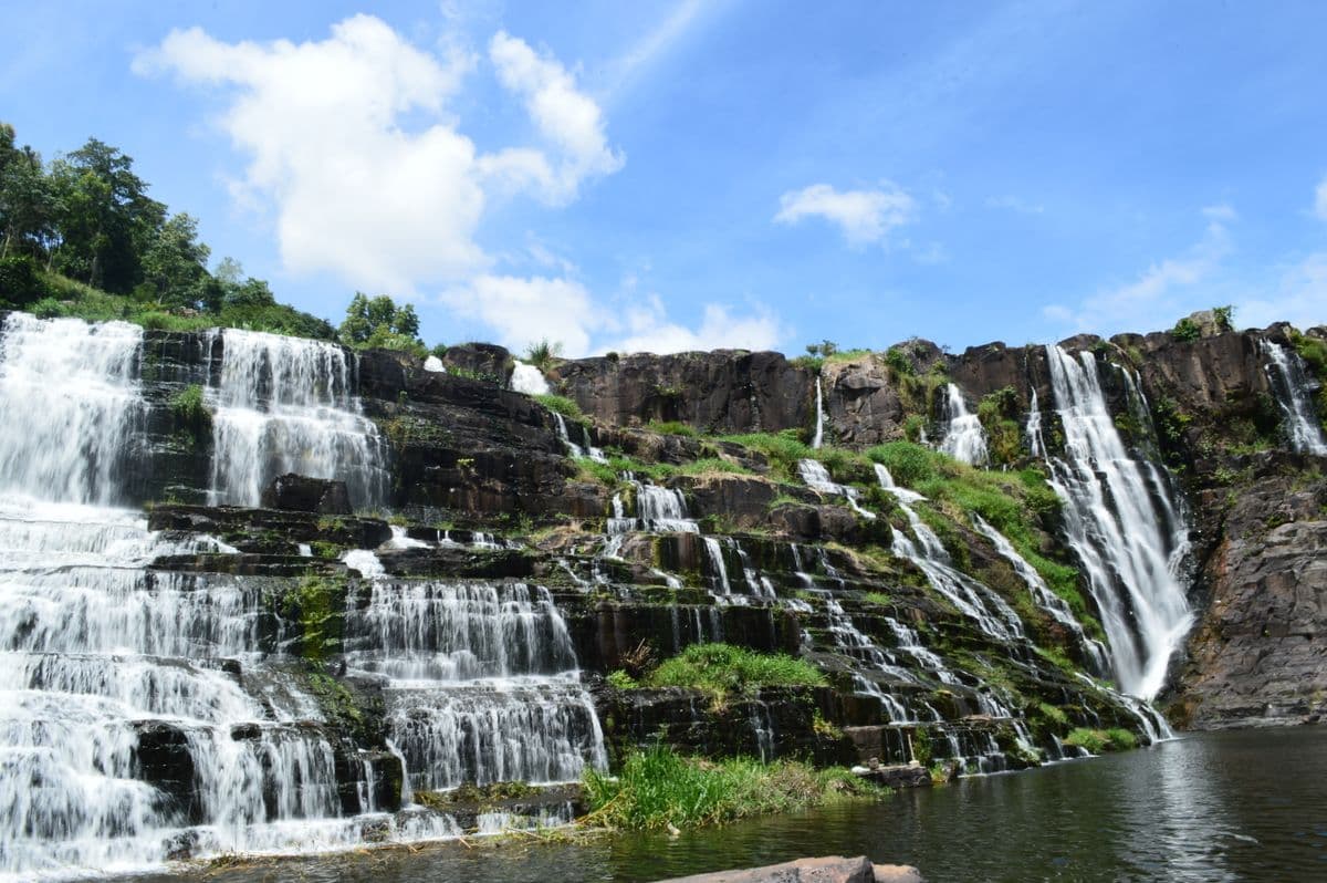 Purushwadi Fireflies Festival 2026