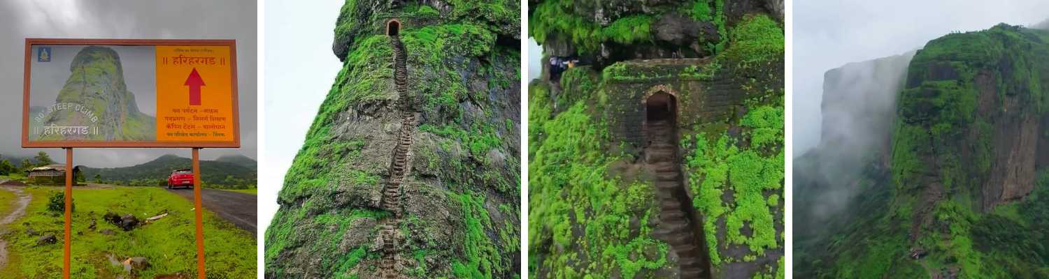 Best Fort Treks Near Mumbai (2026): Easy to Challenging