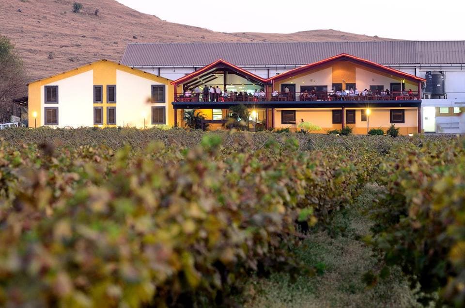 Sula Vineyard & Nashik Weekend Trip