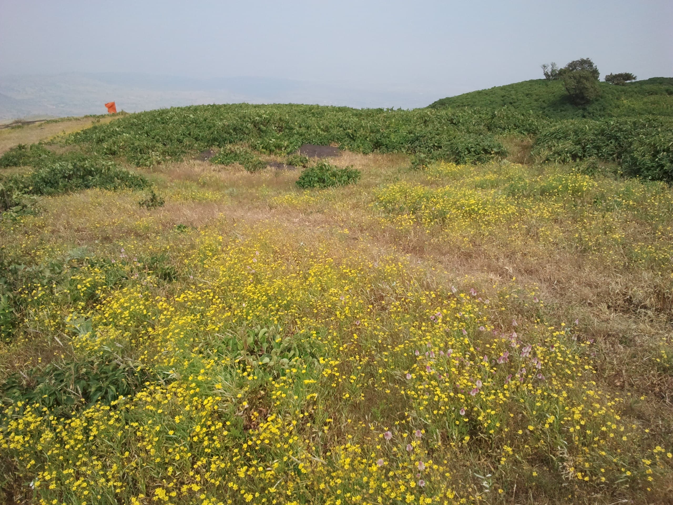 Anjaneri Fort Trek
