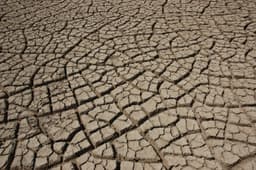 Rann of Kutch Dholavira Trip from Mumbai: The Complete Guide (2026)