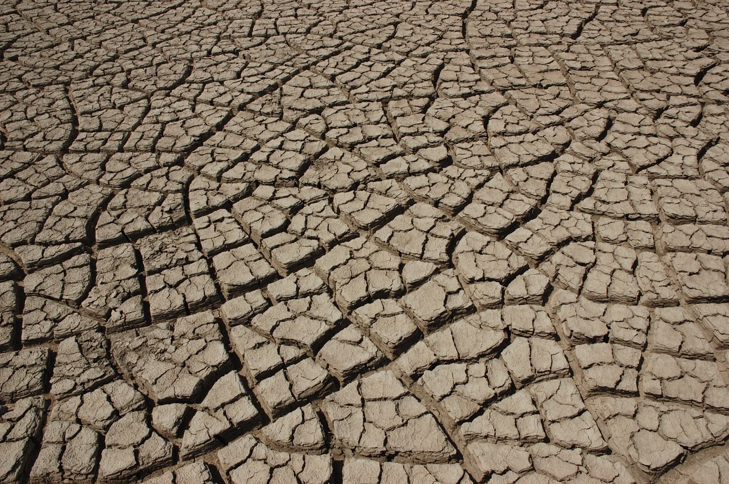 Rann of Kutch Dholavira Trip from Mumbai: The Complete Guide (2026)