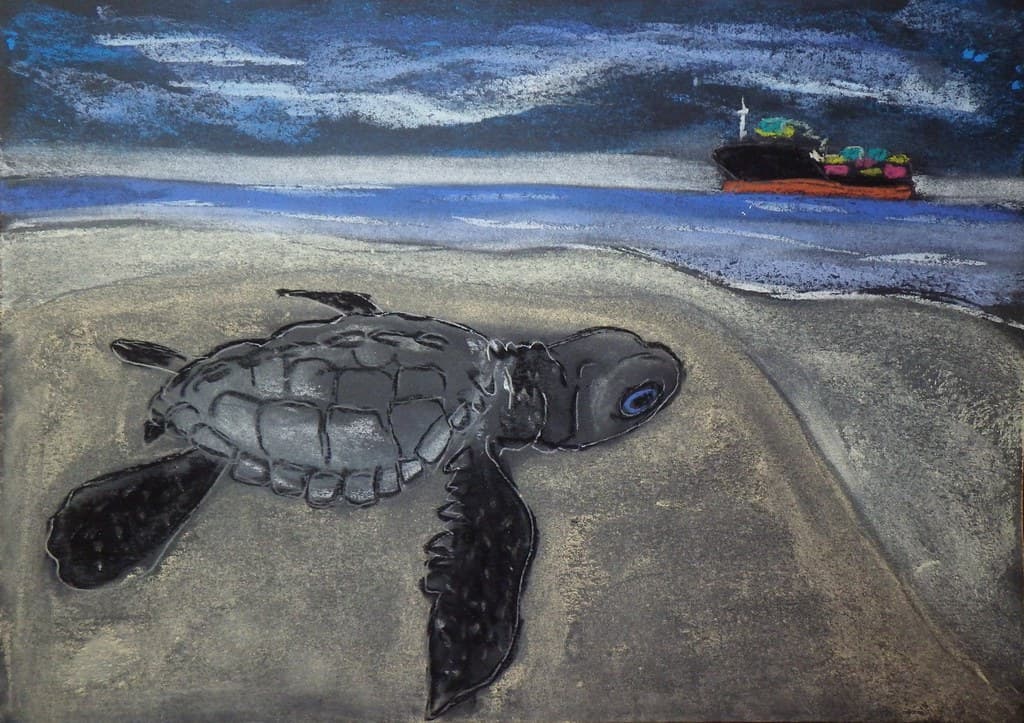 Guhagar Turtle Festival 2027