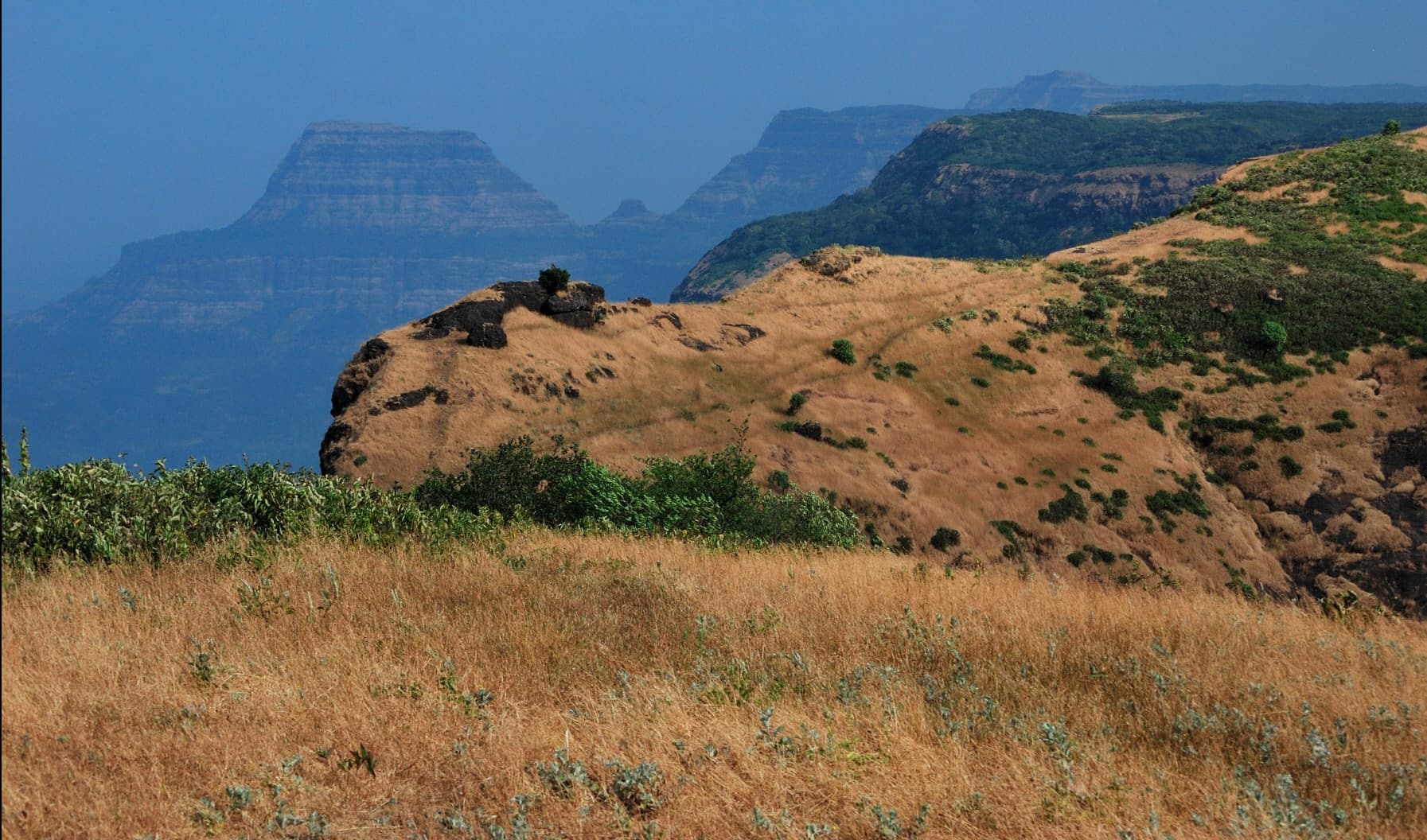 Lonavala to Bhimashankar Range Trek