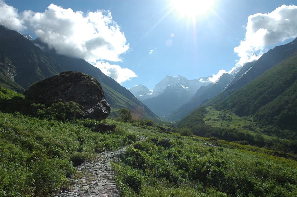 Valley of Flowers Trek