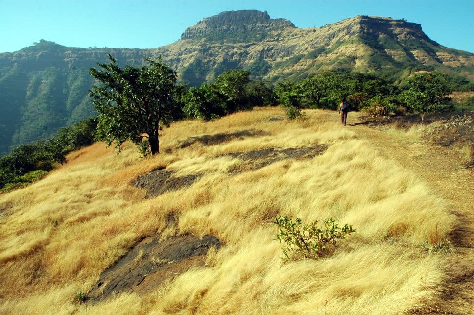 Tikona Fort Trek