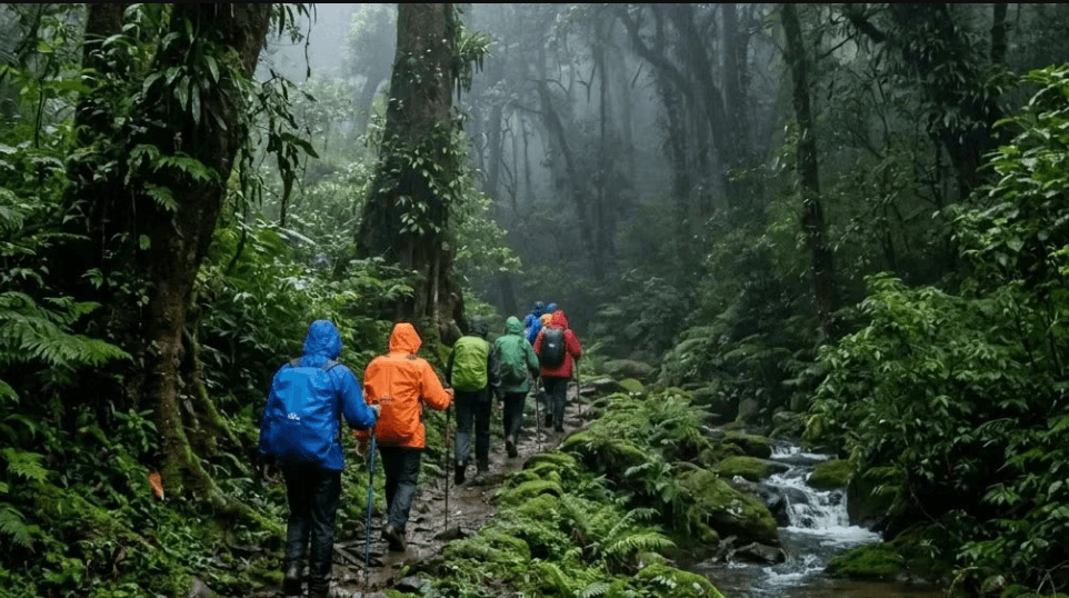 Aadrai Jungle Trek