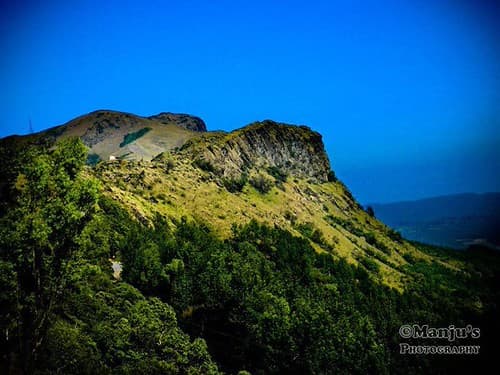 Chikmagalur Coffee Plantation Trip