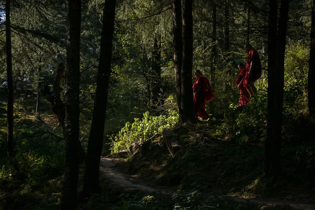 Mcleodganj, Dharamshala & Bir Billing