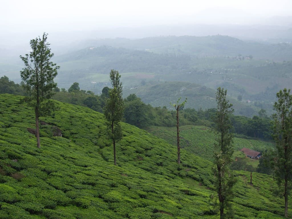 Best Backpacking Trips From Mumbai (2026): Offbeat Guide