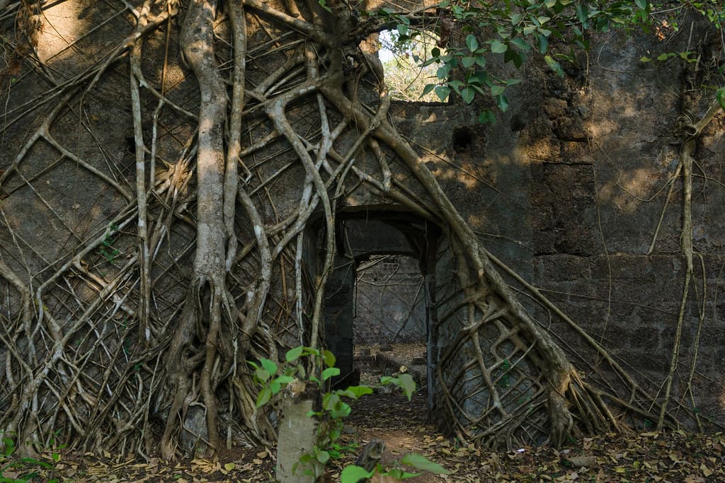 Asherigad Fort Trek
