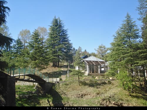 Shimla & Kufri Trip