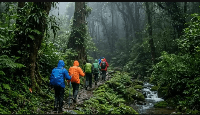 Aadrai Jungle Trek: The Complete Guide (2026)