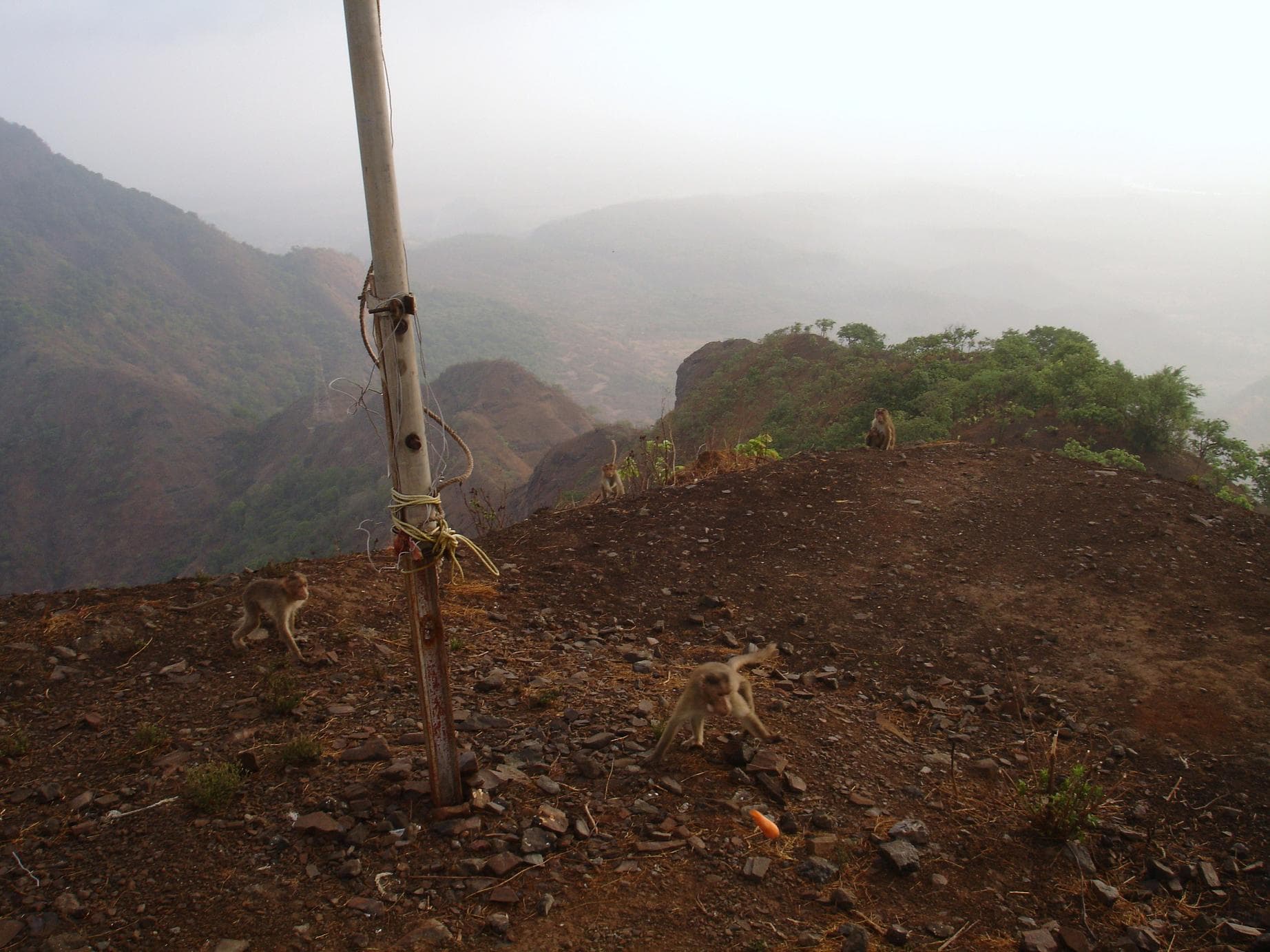 Karnala Fort Trek