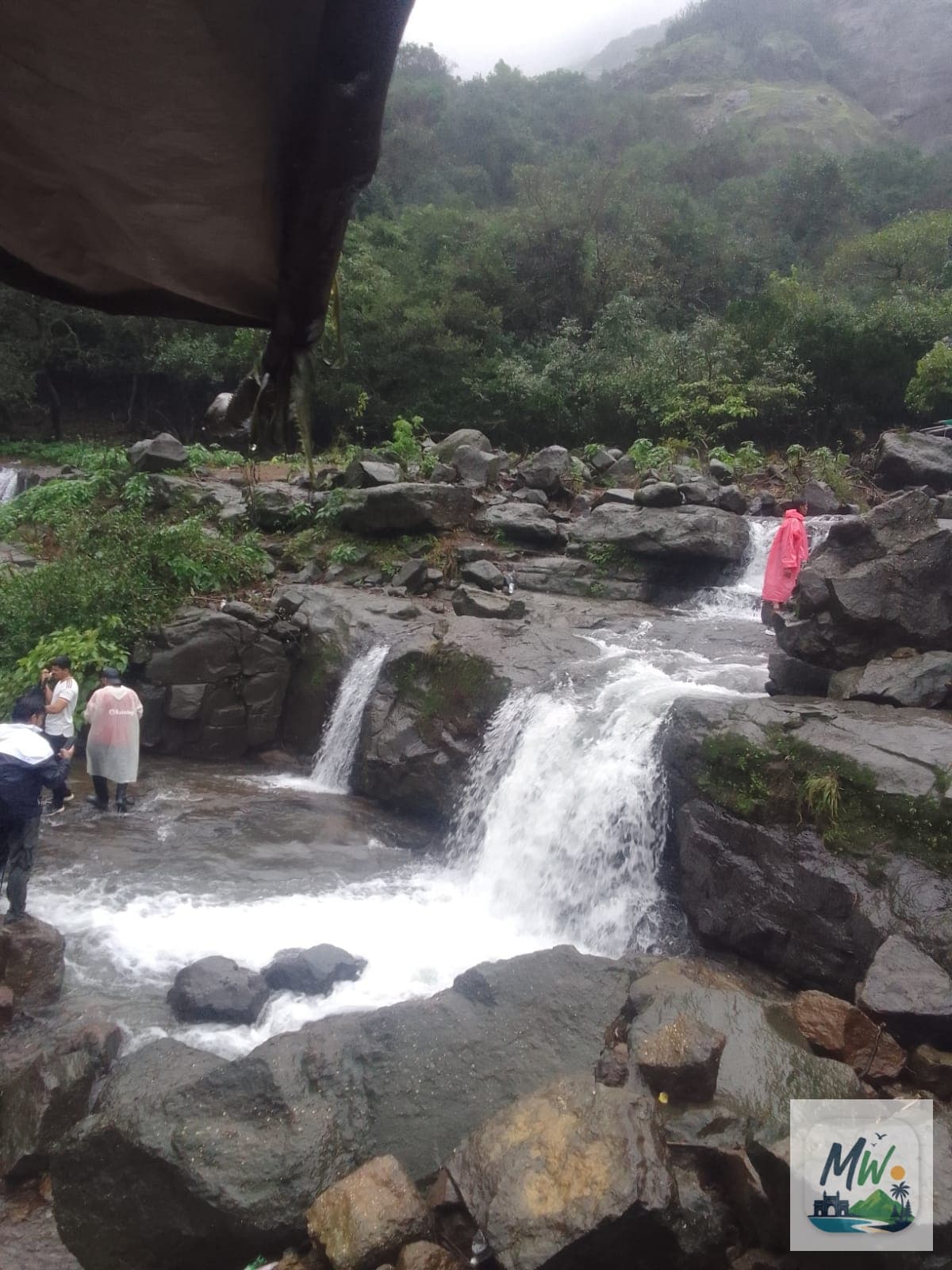 Aadrai Jungle Trek from Surat