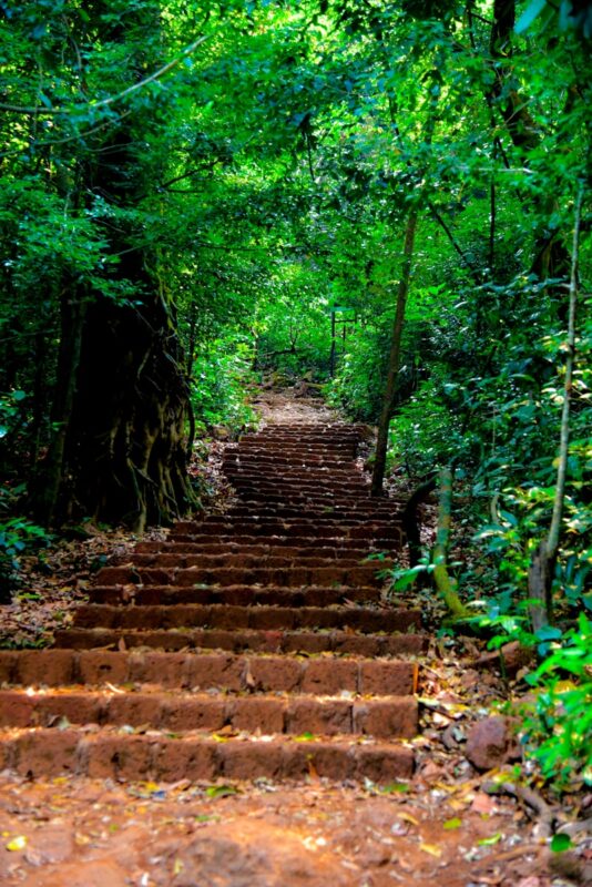 Vasota Trek from Pune Mumbai
